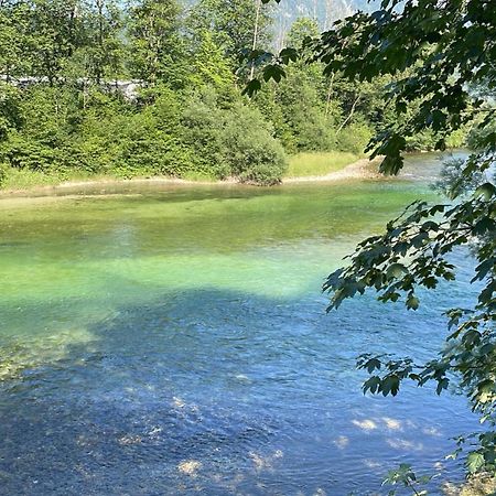 Traunrauschen Lägenhet Bad Goisern Exteriör bild